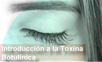 Fundamentación Teórica de Toxina Botulínica – BoTOX