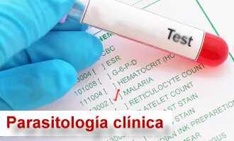 Parasitología clínica.⠀⠀⠀⠀⠀⠀⠀⠀⠀