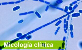 Micología Clínica⠀⠀⠀⠀⠀⠀⠀⠀⠀⠀⠀⠀